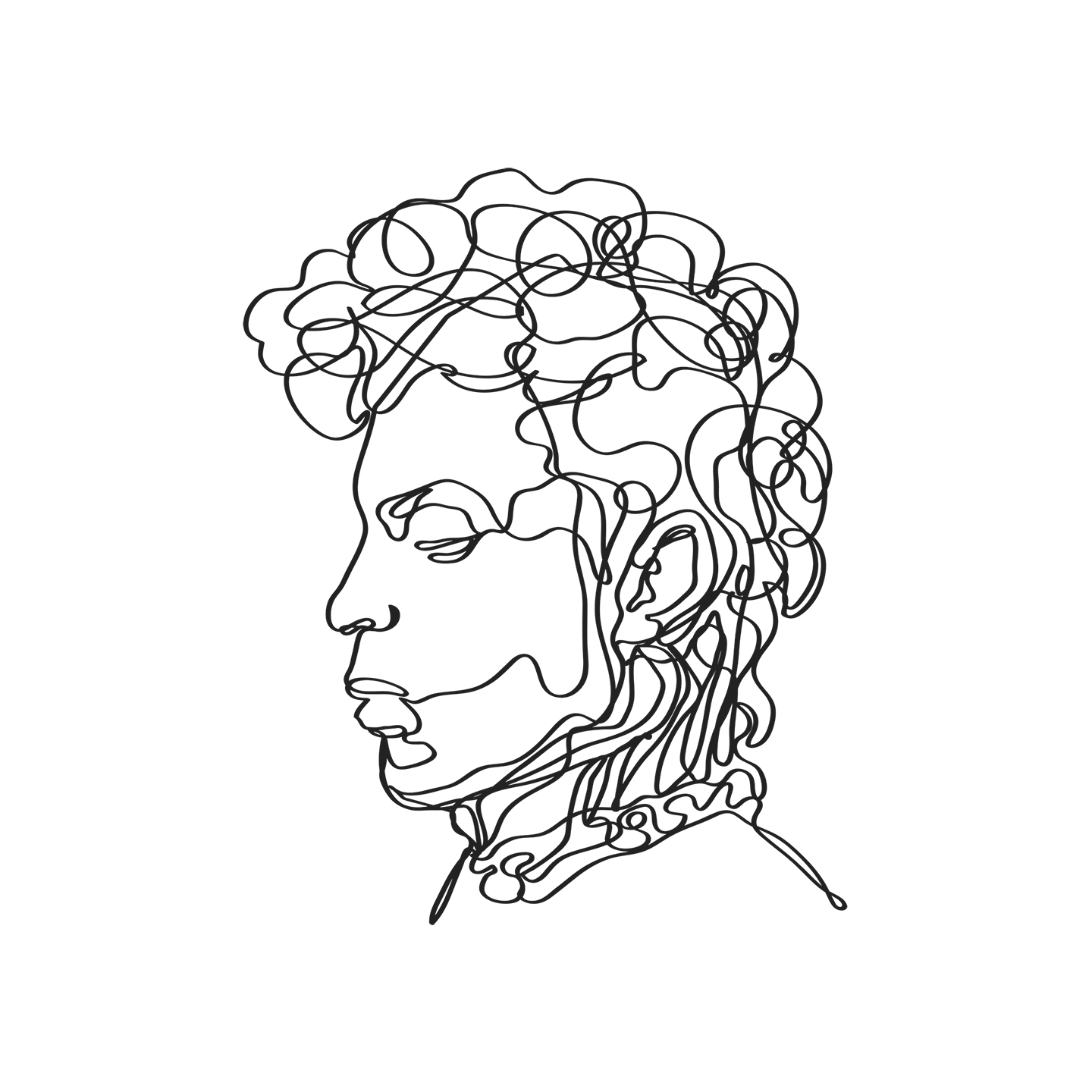 Illustrated Prince Illustrated Prince
