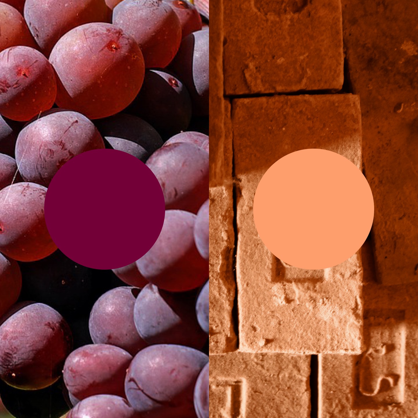 The color concept – influenced by red grapes and old bricks The color concept is influenced by red grapes and old bricks