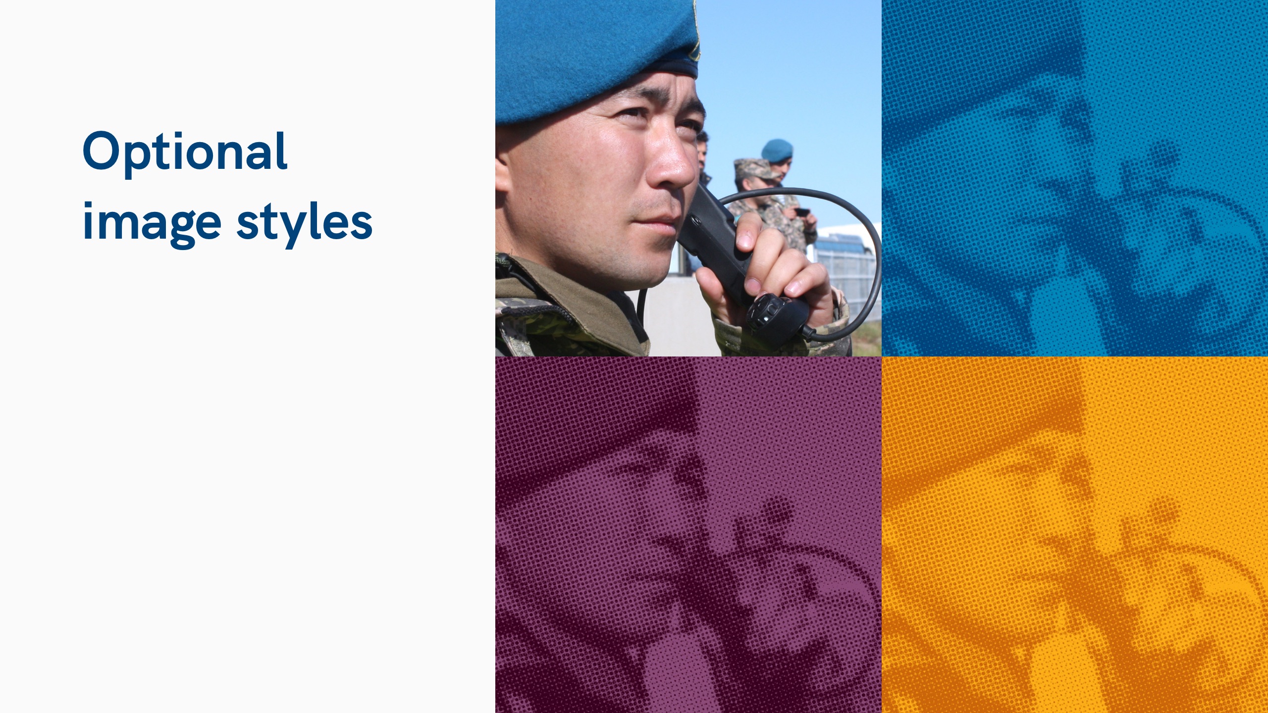 Text reading “Optional image styles” with a photo displayed in different colour overlay and halftone variations.